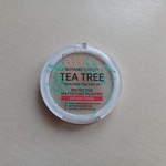 Матирующая антибактериальная пудра для лица Evelinе Botanic Expert Tea Tree 100% фото 2 