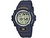 Часы Casio G-2900F-2V