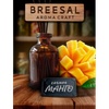 Диффузор Breesal Froma Craft Сочное Манго