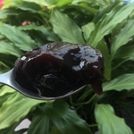 Гель Vertera AngioLive Food Black Currant фото 1 