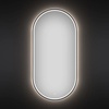 Овальное зеркало с подсветкой Wellsee 172202030