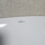 Wellsee Раковина накладная Brillant iCon 326002000 фото 1 