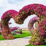 Парк цветов., Дубай, О.А.Э. фото 1 