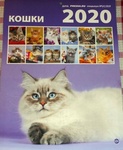 Календарь "Забавные котята"