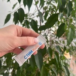 Стим Кидс фото 3 