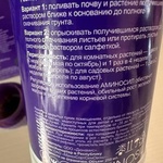 АМИНОСИЛ для декоративно-лиственных растений фото 2 