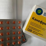 Таблетки Канефрон Н Бионорика фото 1 