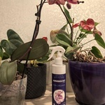 Витамины для орхидей Аминосил, спрей 350 мл фото 3 