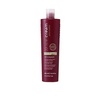 Шампунь для окрашенных волос Inebrya Pro-Color Color Perfect Shampoo 