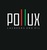 Лакокрасочные материалы Pollux