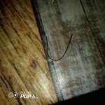 Салат из морской капусты "Северная гавань" фото 1 