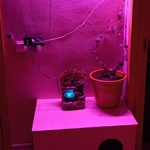 Коврик-травка Ковры и газоны фото 4 