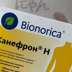 Таблетки Канефрон Н Бионорика фото 1 