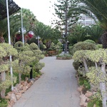 Отель "Grand Resort" 5*, Лимассол, Кипр фото 2 