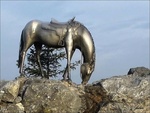 Скульптурная композиция “Лошадь белая”, Красноярск, Россия