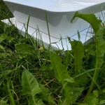 Wellsee Накладная раковина 318002000 фото 3 