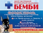 Ветеринарная клиника "Бемби", Г. Москва