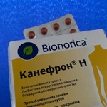 Таблетки Канефрон Н Бионорика фото 1 
