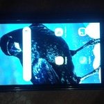 Телефон Samsung Galaxy J2 фото 1 