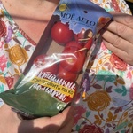 Томаты Мое лето Аморозо коктейльные на ветке фото 1 