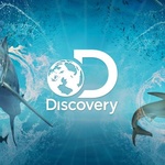 Телеканал "Discovery Channel" фото 1 