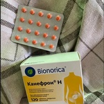 Таблетки Канефрон Н Бионорика фото 1 
