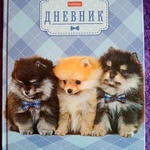 Школьный дневник Hatber фото 4 