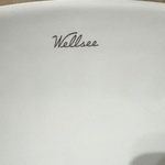 Wellsee Накладная раковина 323401000 фото 3 