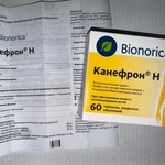 Таблетки Канефрон Н Бионорика фото 1 