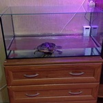 Морские камни KlavShop фото 3 