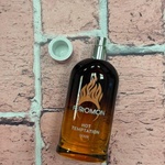 Туалетная вода Ferromon Hot Temptatio фото 1 