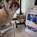 Гипоаллергенный корм ORTIPO для собак фото 1 