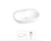 Раковина в наборе 2 в 1 Wellsee Pro Line 20212424R