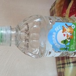 Вода Шишкин лес "Disney" чистая питьевая 6шт*1л фото 1 