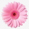 Lera.Guseva.92