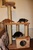 Домик для кошки от Мяу Хаус