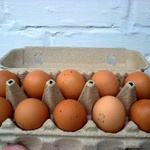 Яйца куриные С2 "Агрокомплекс" фото 2 