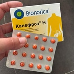 Таблетки Канефрон Н Бионорика фото 2 
