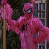 Pink spider