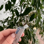 Стим Кидс фото 1 