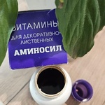 АМИНОСИЛ для декоративно-лиственных растений фото 3 