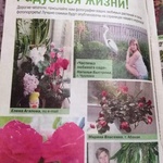 Журнал "Цветы в доме" фото 2 