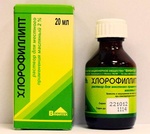 Хлорофиилипт