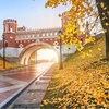Екатерина Дмитриева
