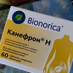 Таблетки Канефрон Н Бионорика фото 1 