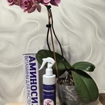 Витамины для орхидей Аминосил, спрей 350 мл фото 1 