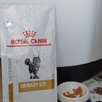 Сухой корм для кошек Royal Canin Urinary фото 1 