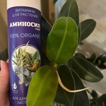 Аминосил спрей для декоративных лиственных фото 2 