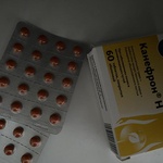 Таблетки Канефрон Н Бионорика фото 1 