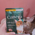 Корм CATTERA с курицей в желе для взрослых кошек фото 1 